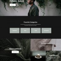 Portfolio & Creative